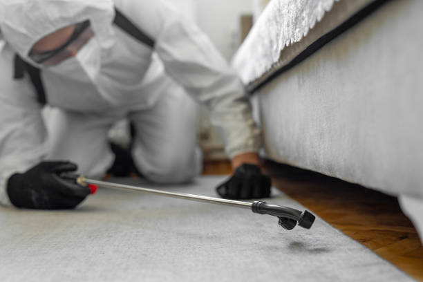 Professional Termite Control technician working in Menands, NY